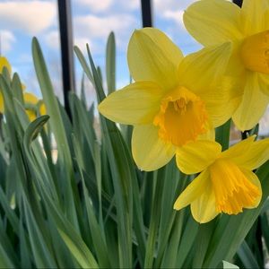 Meet your Posher, Ella